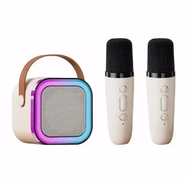 karaoke portable speaker with two mic